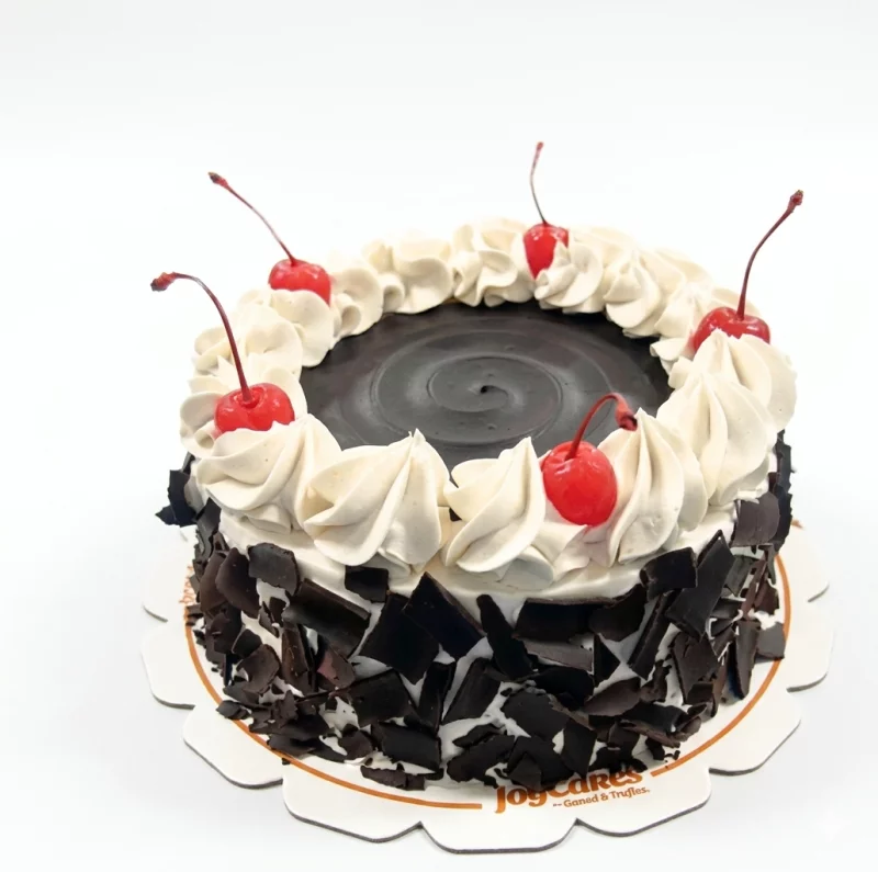 MINI CAKES