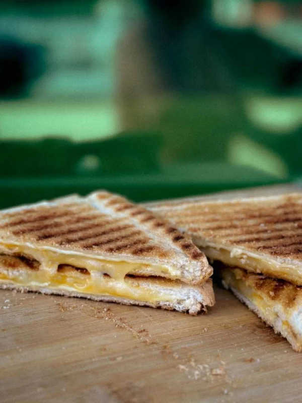 Panini grilled sandwich